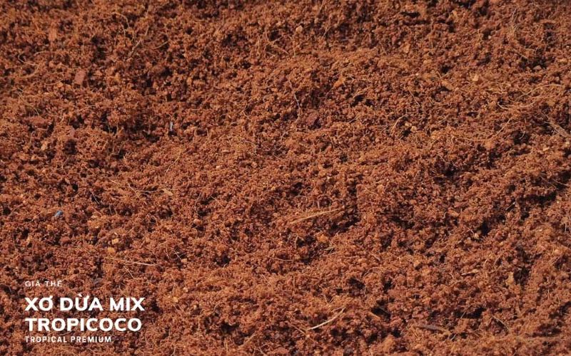 Tropicoco is the best supplier for treated coco peat